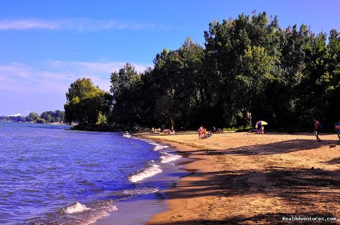 Sawmill SunSeeker Beach