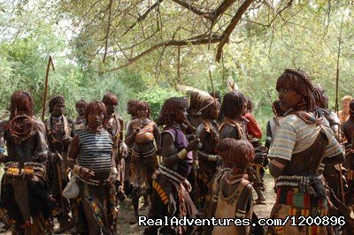 Bull Jumping Ceremony of the Hamer tribes | Travel to Ethiopia/Authentic Ethiopia Tours | Addis Ababa, Ethiopia | Scenic Flights | Image #1/26 | 