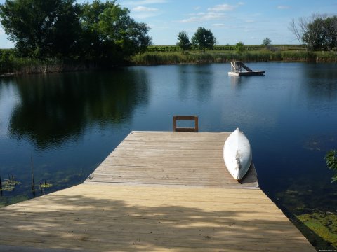 Dock and diving platform