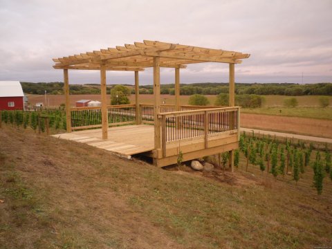 Pergola in the vineyard