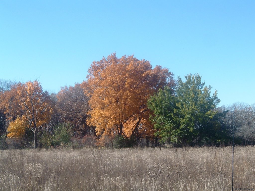 Fall colors are amazing in October | InnSpiration Bed & Breakfast- A Country Getaway | Image #10/23 | 