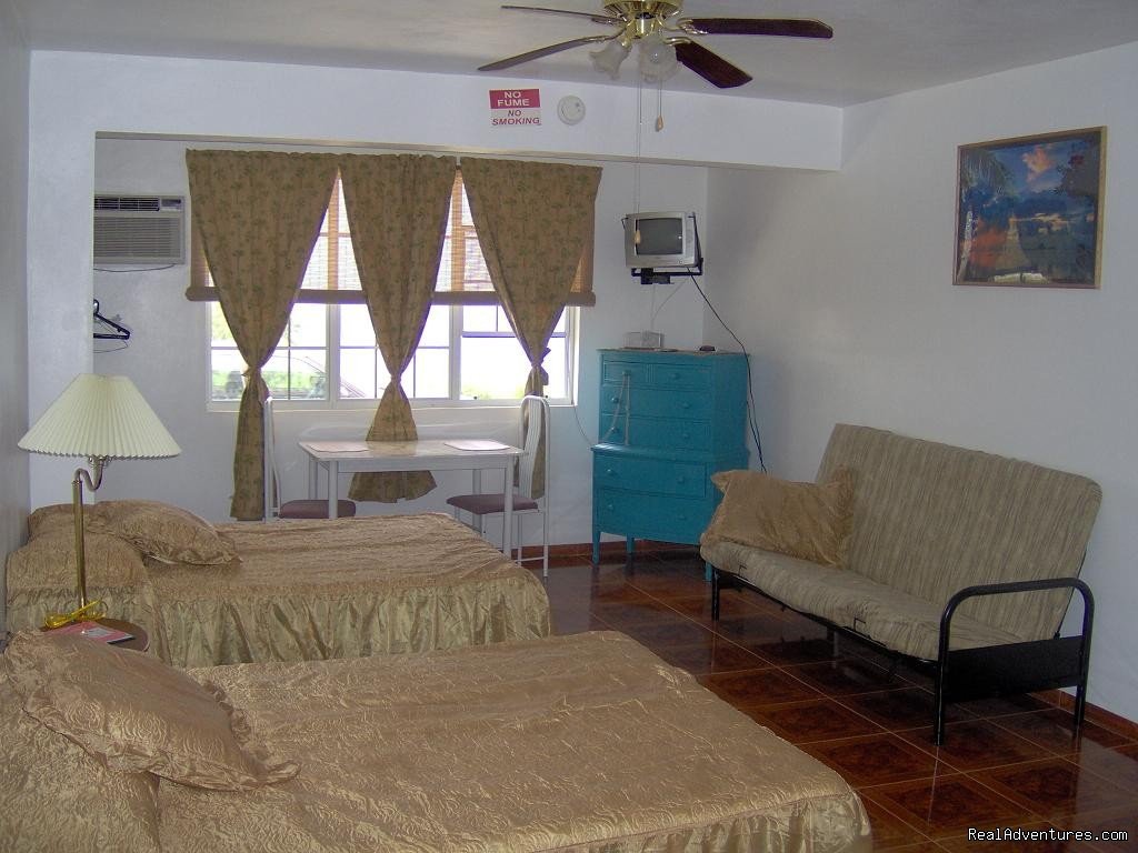 EV Vacation Rental in Rincon Puerto Rico | Image #3/4 | 