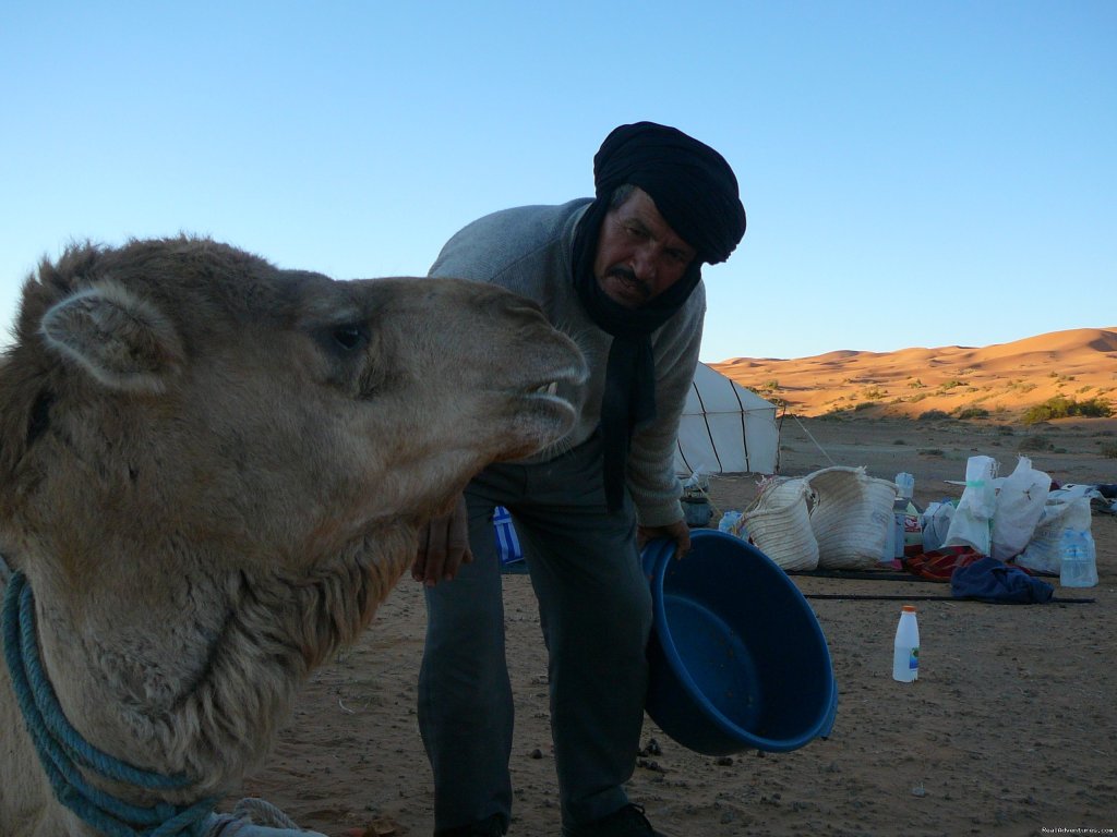 the golden dunes of Merzouga | Travel agent/ adventure- culture trips to Morocco  | Image #18/24 | 