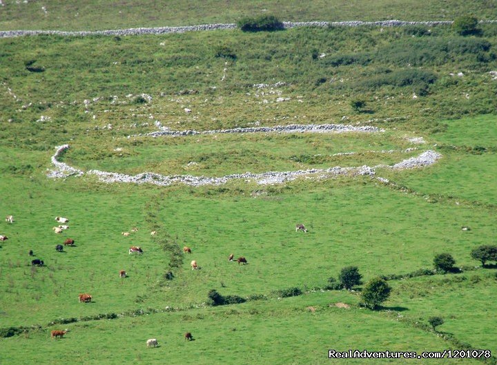 Burren Region | Emohruo Bed and Breakfast--Home from Home | Image #7/9 | 