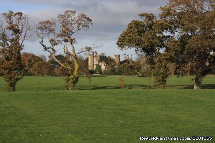 Malahide Castle | Sonas B and B Malahide | Image #5/6 | 