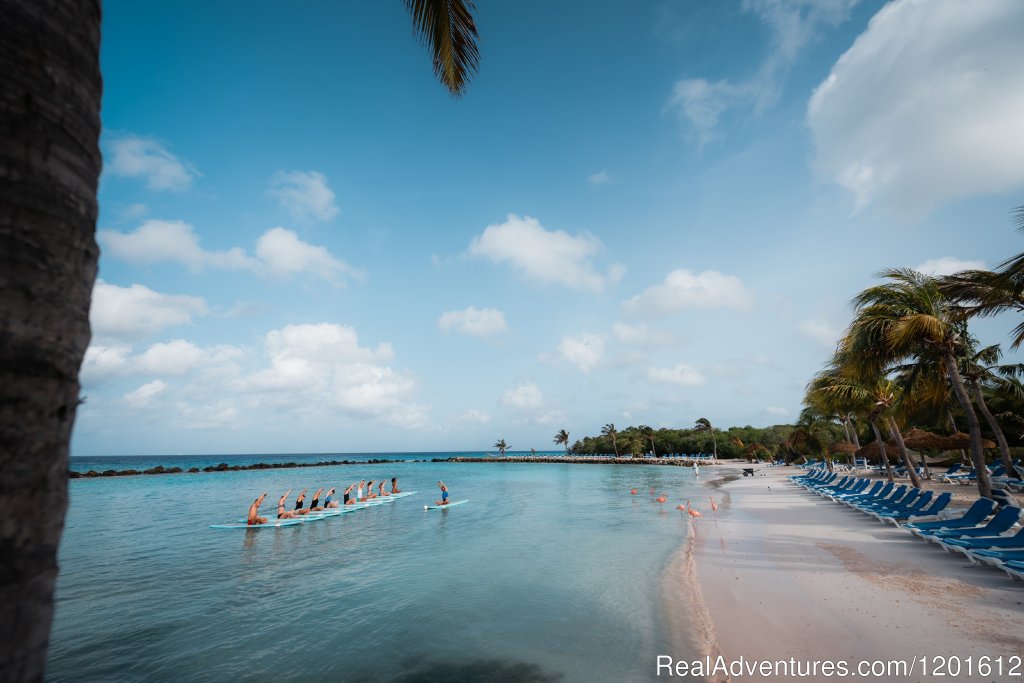 Renaissance Island | Renaissance Aruba Resort & Casino | Image #3/15 | 