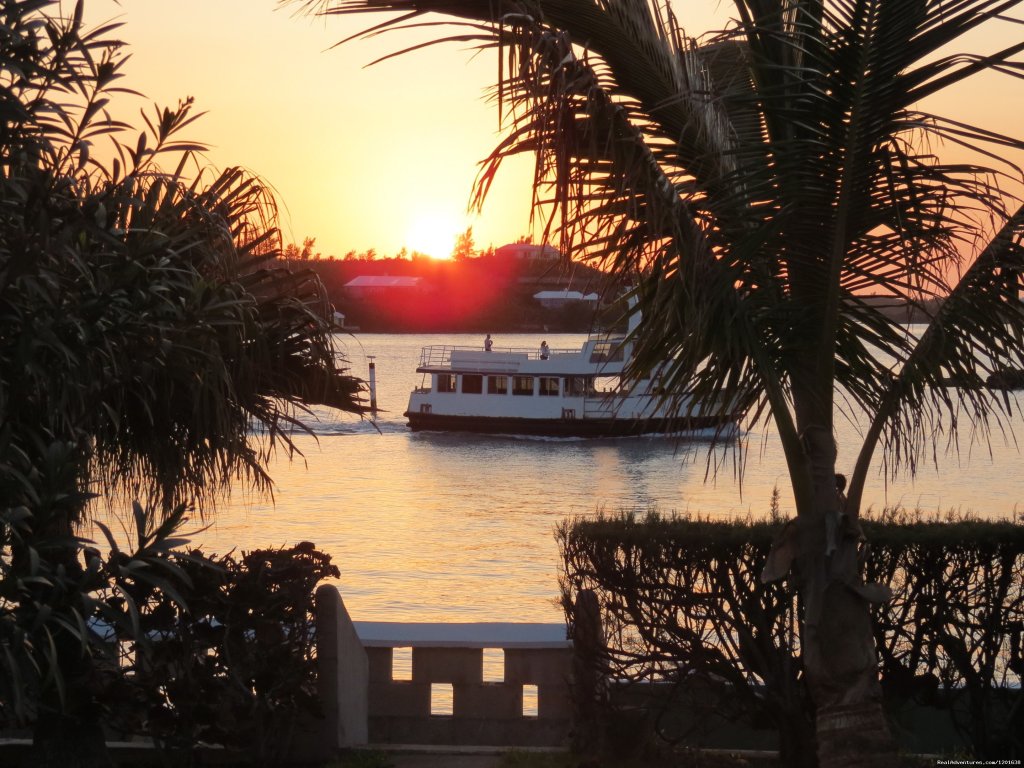 Ferry passing by | Greenbank & Cottages | Image #8/10 | 