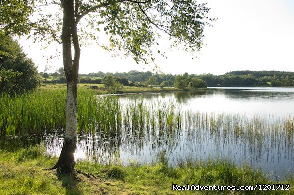 Breffni Arms Hotel | cavan, Ireland | Hotels & Resorts | Image #1/1 | 