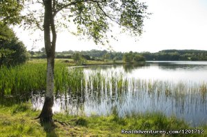 Breffni Arms Hotel | cavan, Ireland | Hotels & Resorts