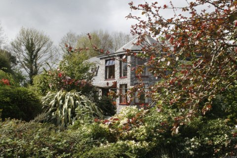 Kathleens Country House a 'hidden gem'