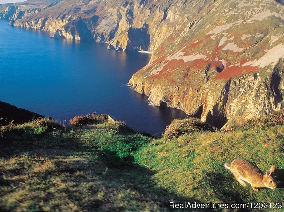 Slieve League, spectacular scenery | Nesbitt Arms Hotel | Image #6/14 | 