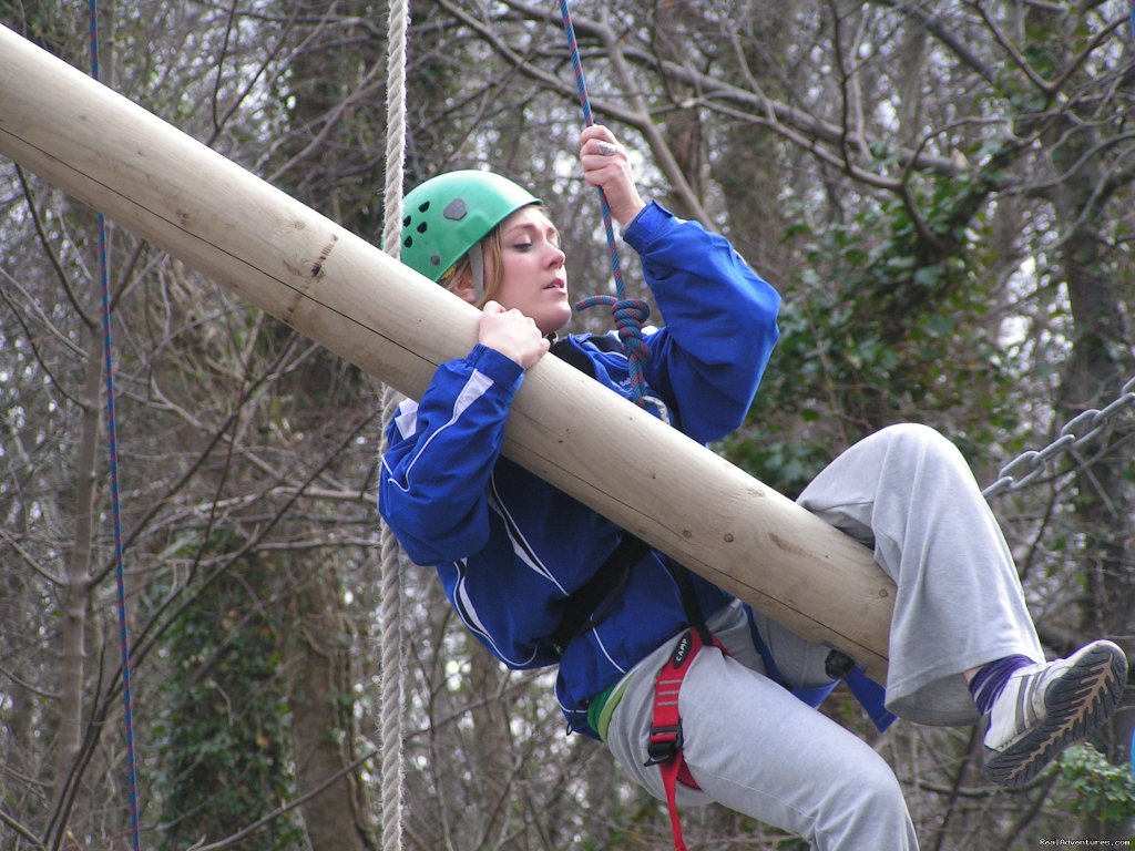 Adventure activity in the Westport Woods Hotel grounds | Best Western Plus Westport Woods Hotel | Image #11/19 | 