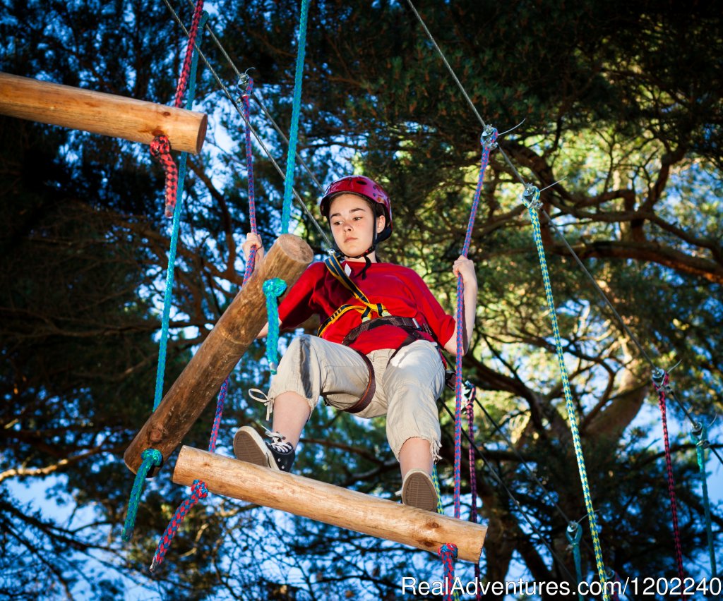 High ropes | Best Western Plus Westport Woods Hotel | Image #19/19 | 