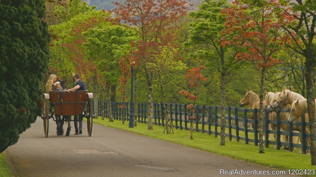 Jaunting carts available to tour The Gap of Dunloe | The Dunloe 5 Star Hotel | Image #3/9 | 