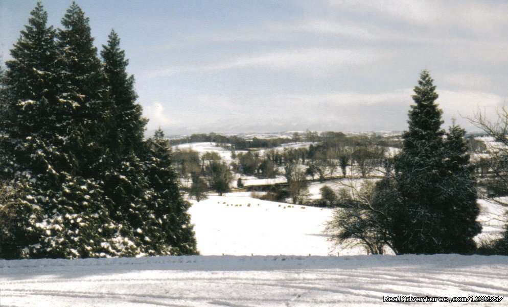 Snow scene | Corick House Hotel | Image #3/24 | 