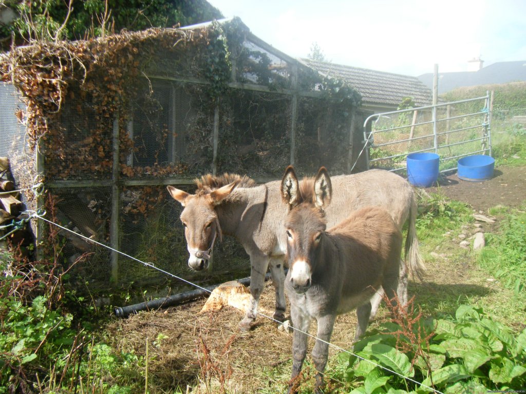 more neighbours | Ashfield | Image #11/13 | 