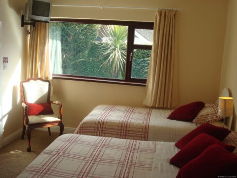 Athlumney Manor B&B  - Bedroom