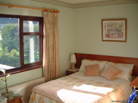 Athlumney Manor B&B - Bedroom