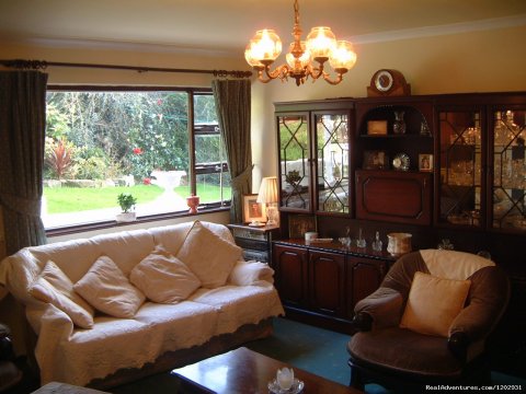 Athlumney Manor B&B - Sitting Room