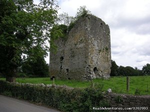 Gort-Na-Cloc in the heart of TipperyGolden Vale | Cashel, Co. Tipperary, Ireland | Bed & Breakfasts