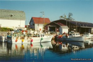 MacQueen's Island Tours