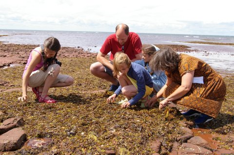 Seaweed Secrets