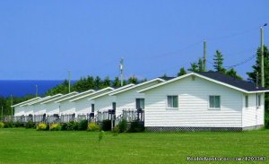 Orchard View Farm Tourist Home & Cottages