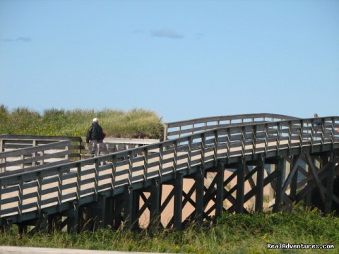 Boardwalk leading to beach area