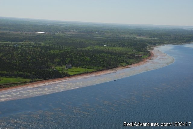 John B's Oceanfront Cottages | Image #37/40 | 