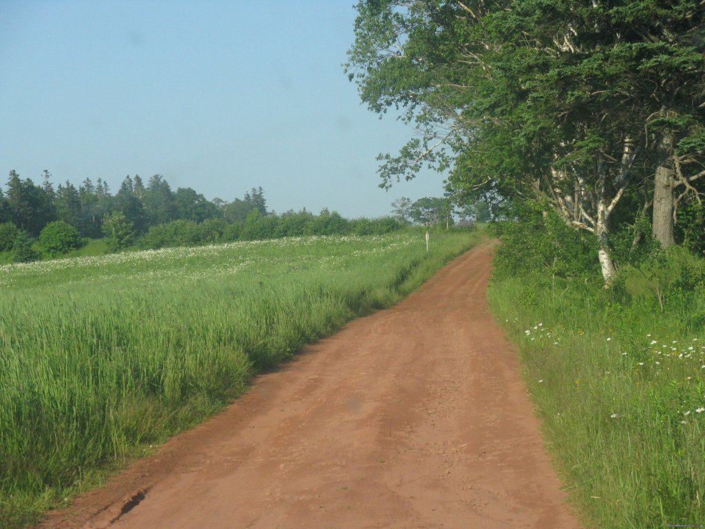 Country Road | Enjoy the Tranquility of Desable Riverview Cottage | Image #4/6 | 