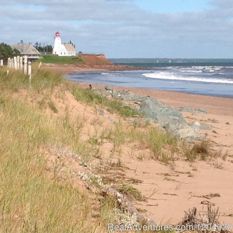 Panmure Island Beach