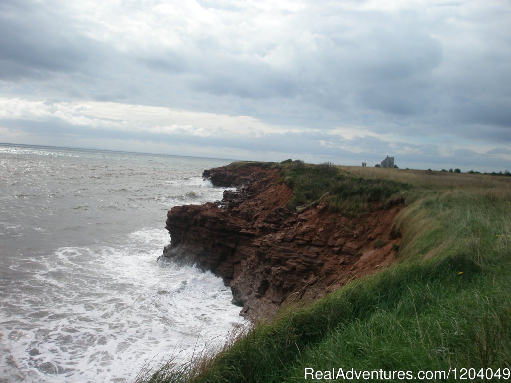 14 Acres Of Oceanfront Privacy. | South Shore Farm | Image #4/5 | 