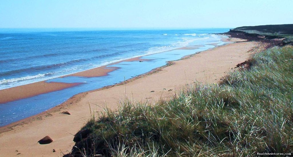 Beach - View to the East | Warren's Beachfront Cottages | Image #3/23 | 