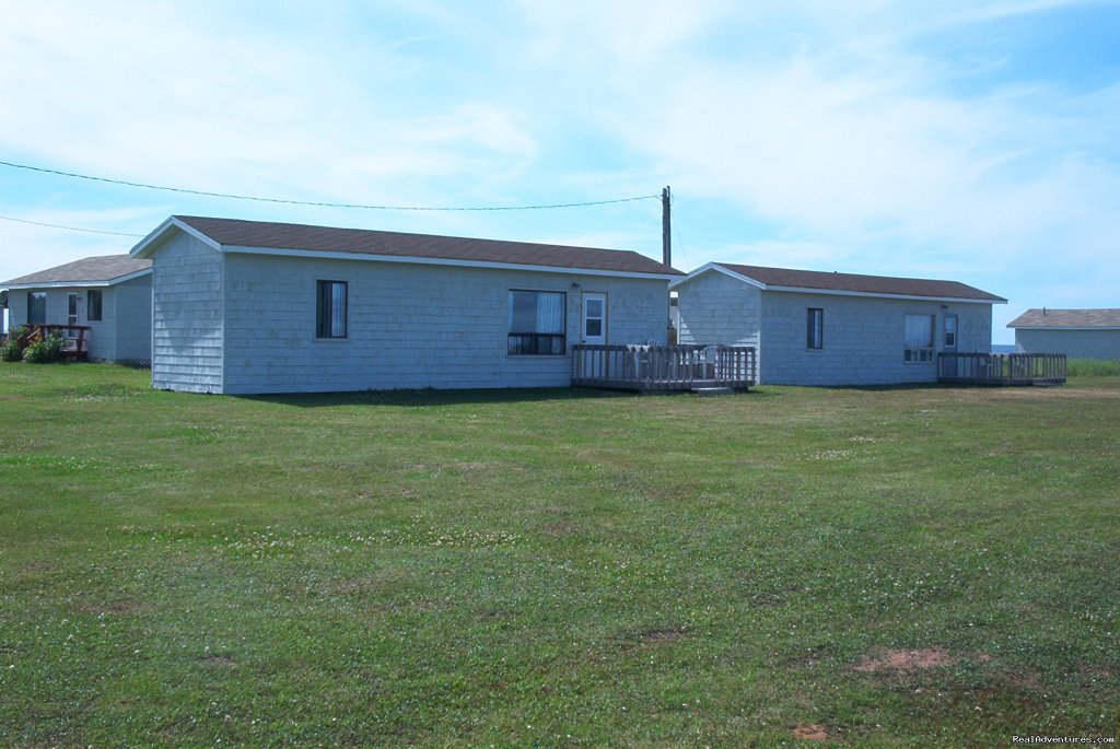 1 Bedroom Cottages   14 &  15 | Warren's Beachfront Cottages | Image #9/23 | 