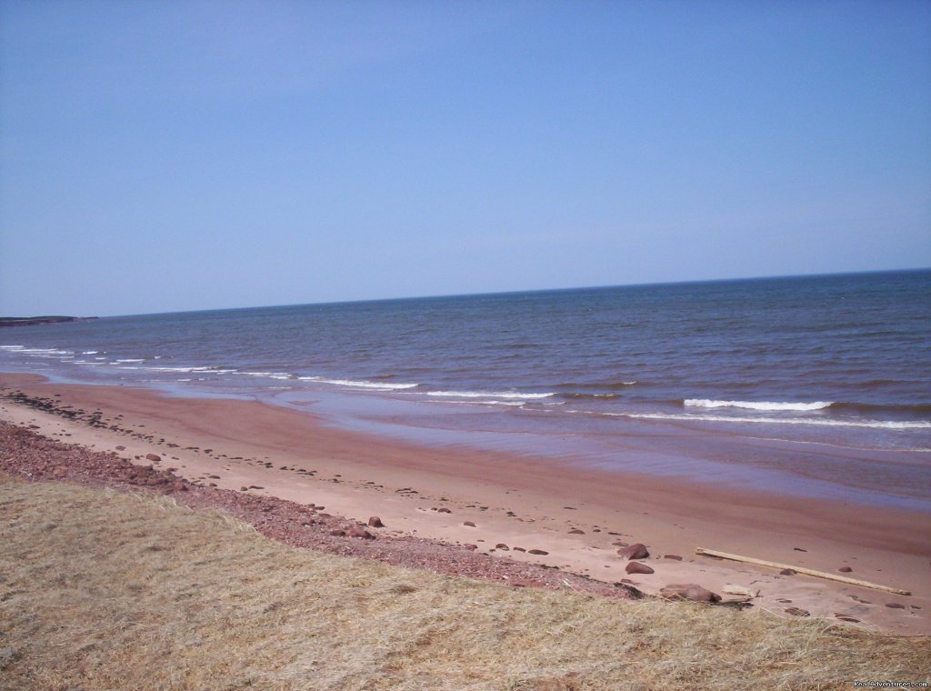 Beach - View to the West | Warren's Beachfront Cottages | Image #4/23 | 