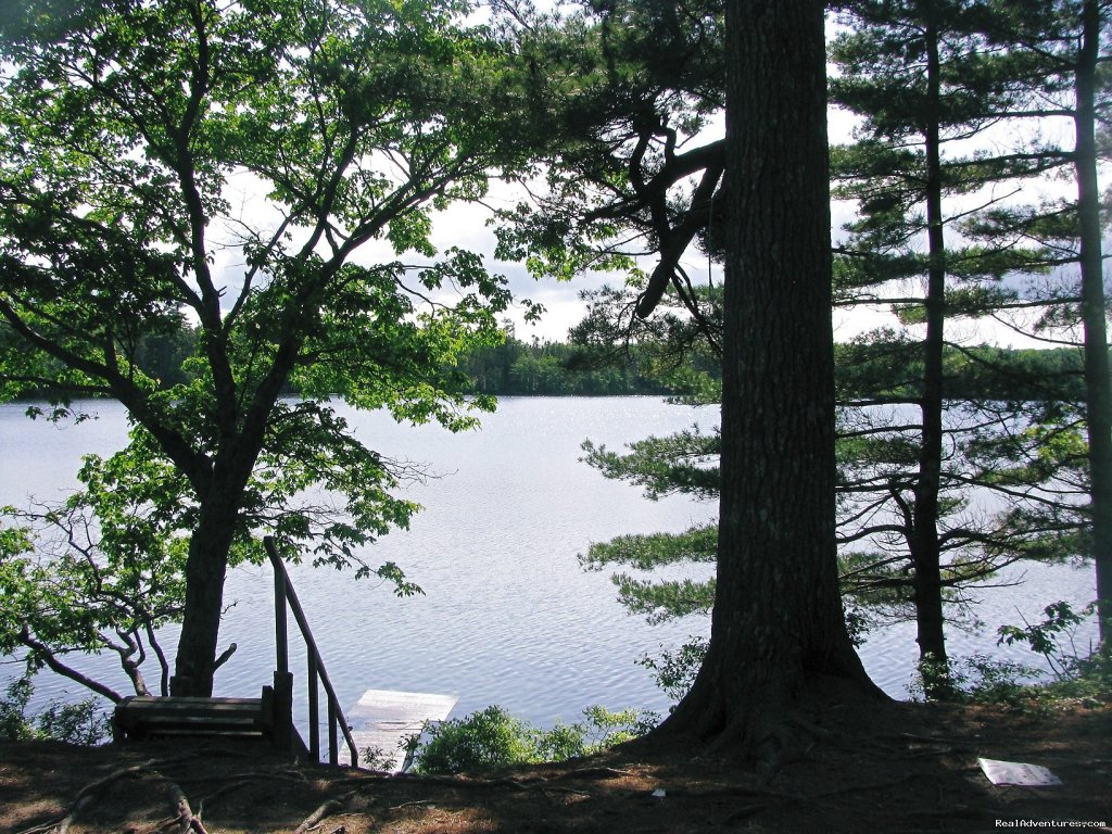 High side of Pug Lake | Clyde Farm Campground | Image #5/5 | 