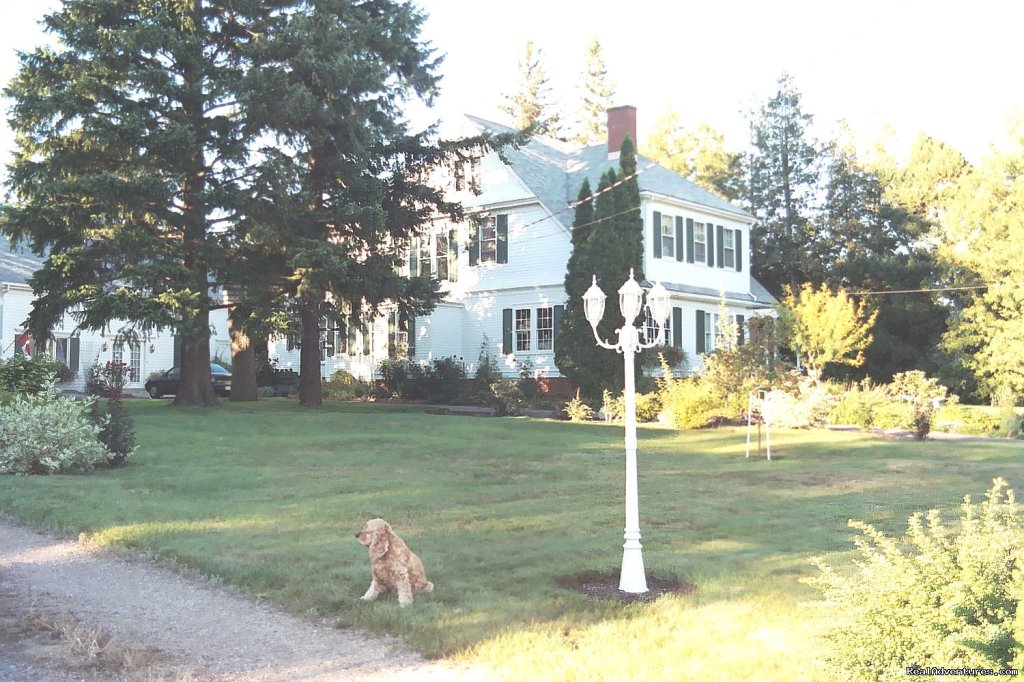 House from street | Harrington House Bed & Breakfast | Bridgetown, Nova Scotia  | Bed & Breakfasts | Image #1/5 | 