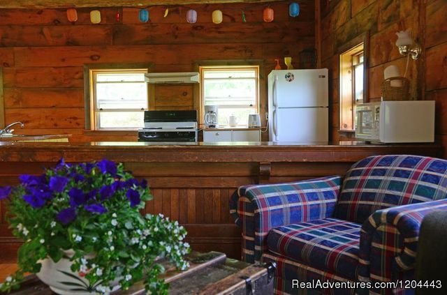 Kitchen area | Bramble Lane Farm & Cottage | Image #2/8 | 