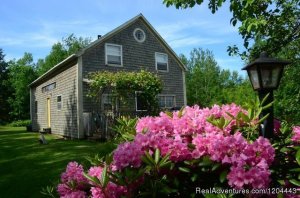 Bramble Lane Farm & Cottage