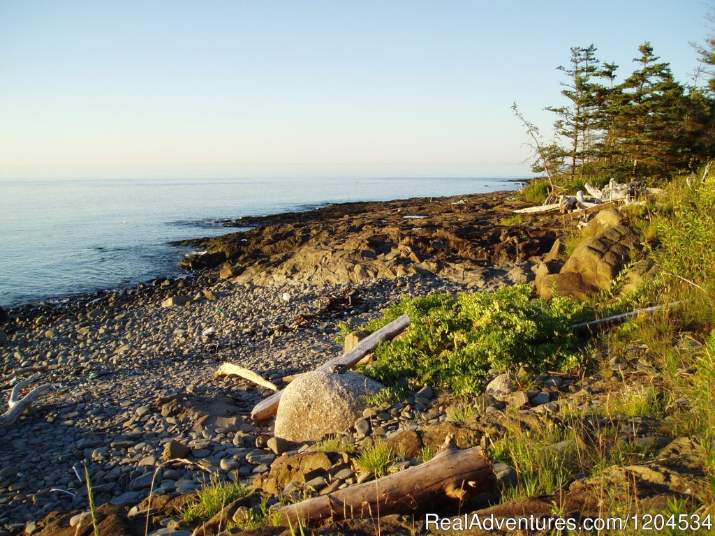 Early Morning Low Tide In Parker's Cove, Ns | Camp On The Beautiful Bay Of Fundy In Nova Scotia | Image #3/6 | 