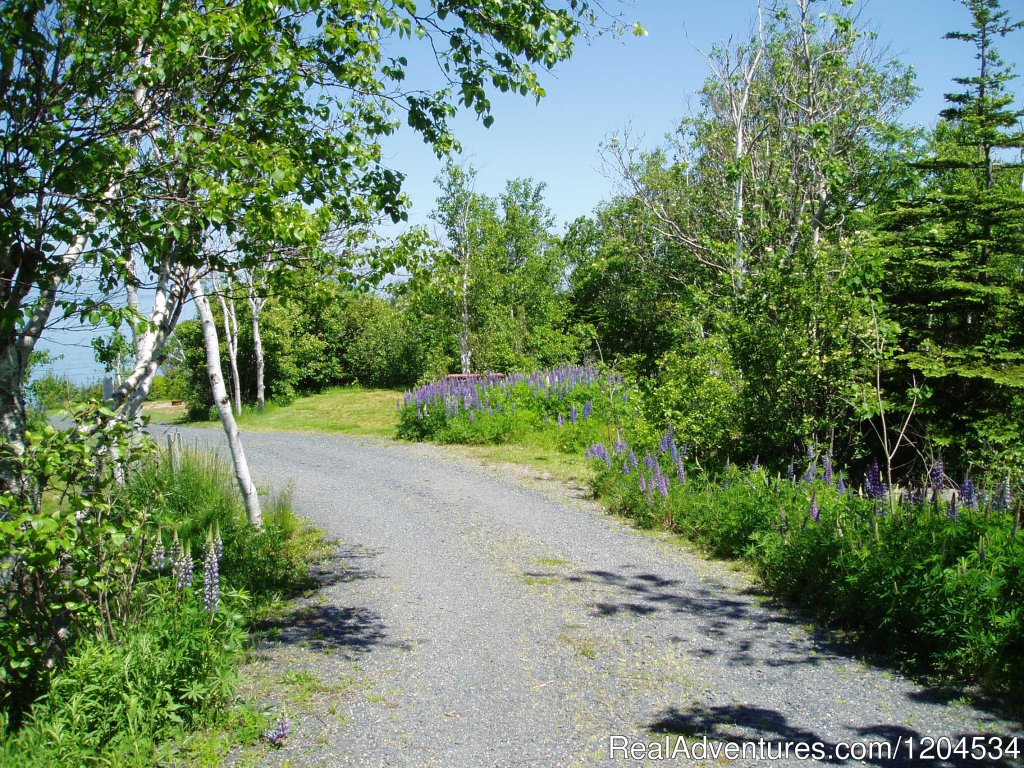 Full Service Sites On The Bay Of Fundy | Camp On The Beautiful Bay Of Fundy In Nova Scotia | Image #4/6 | 