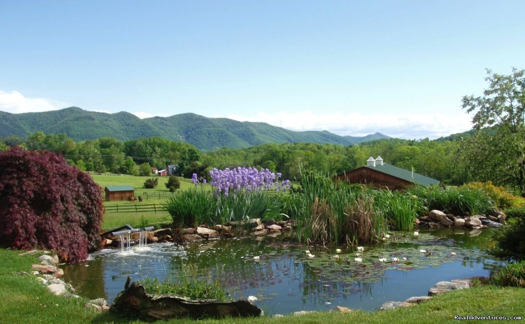 The Blue Ridge Mountains viewed from our front yard | Enjoy the Great Outdoors at Fox Hill B&B Suites | Fairfield, Virginia  | Bed & Breakfasts | Image #1/21 | 