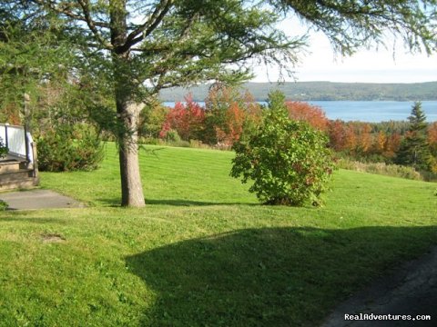 wonderful lake view