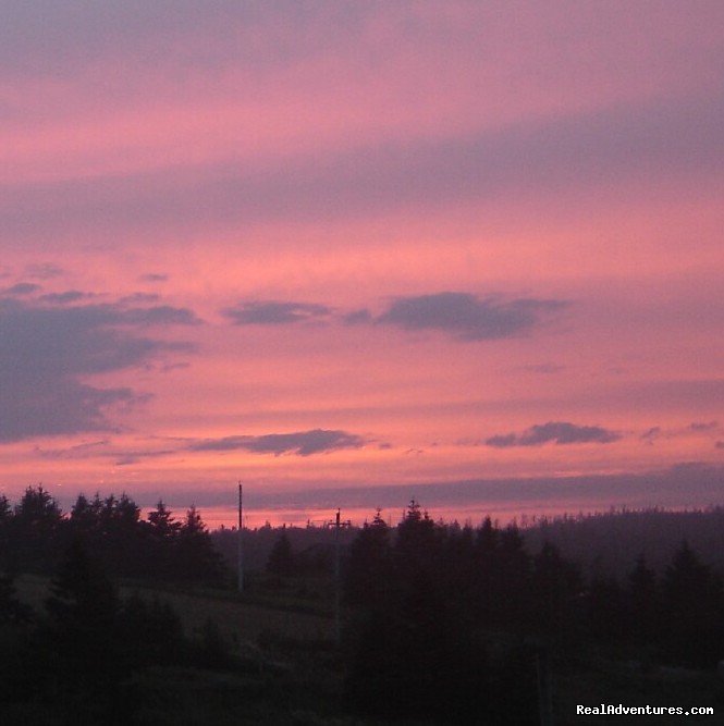 Sunset over the tree line | Spry Bay Campground | Image #5/5 | 