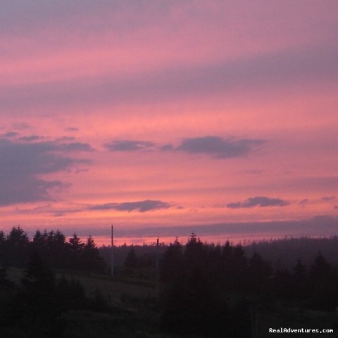 Sunset over the tree line