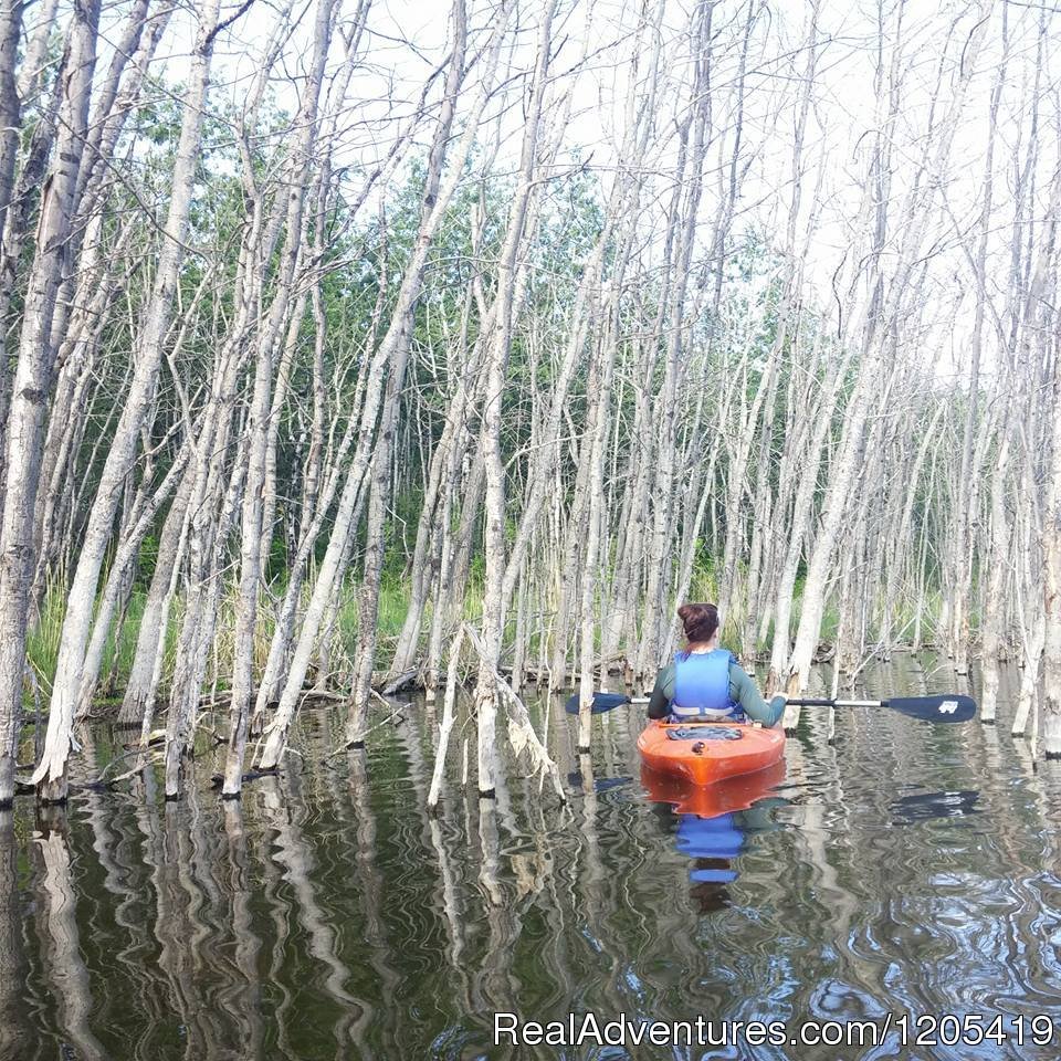 Kayaking on Little Kenosee | Moose Mountain Provincial Park | Aberdeen, Saskatchewan  | Campgrounds & RV Parks | Image #1/1 | 