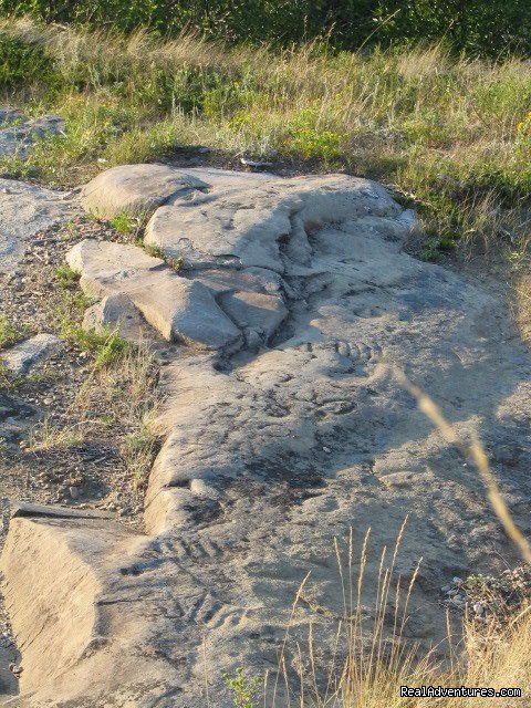 St. Victor Petroglyphs | Town of Rockglen | Image #6/7 | 