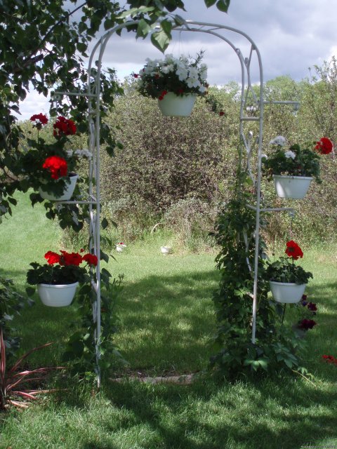 Wedding Arch