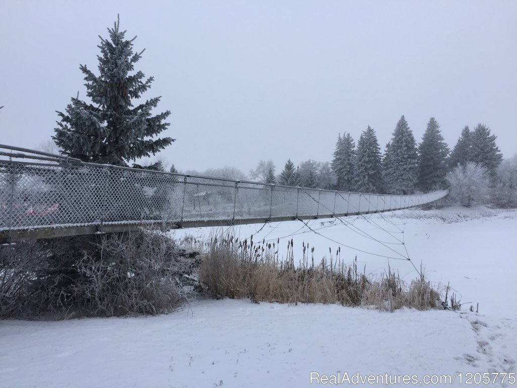 Wolseley Swinging Bridge | Town Of Wolseley | Image #5/14 | 