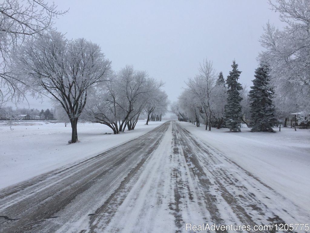 Front Street, Wolseley - Facing West | Town Of Wolseley | Image #14/14 | 